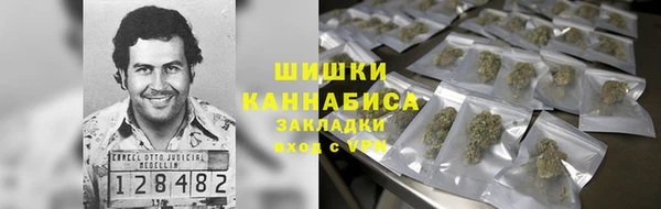 дживик Новозыбков