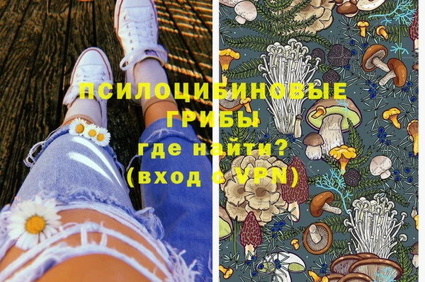 бошки Новодвинск