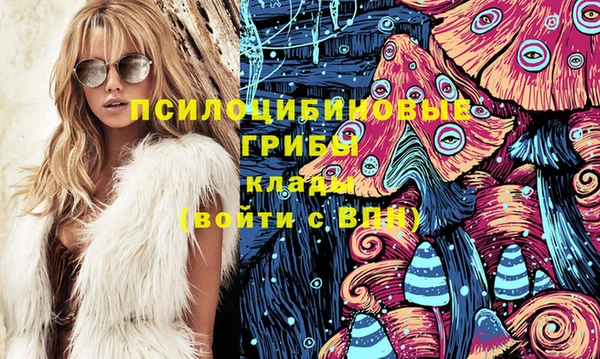 бошки Новодвинск