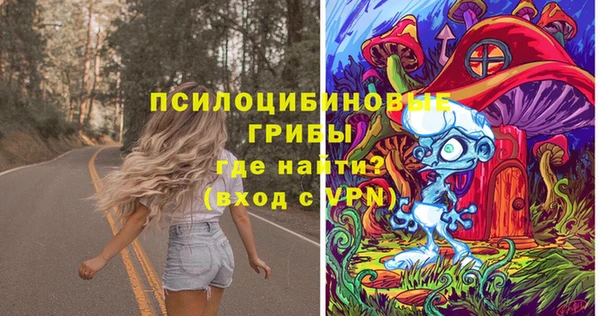 бошки Новодвинск