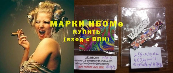 бошки Новодвинск