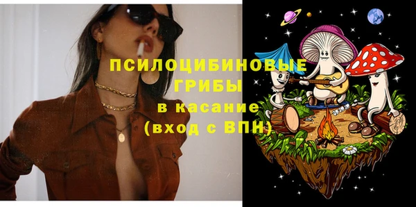 бошки Новодвинск