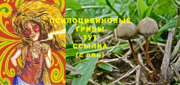 таблы Новокубанск